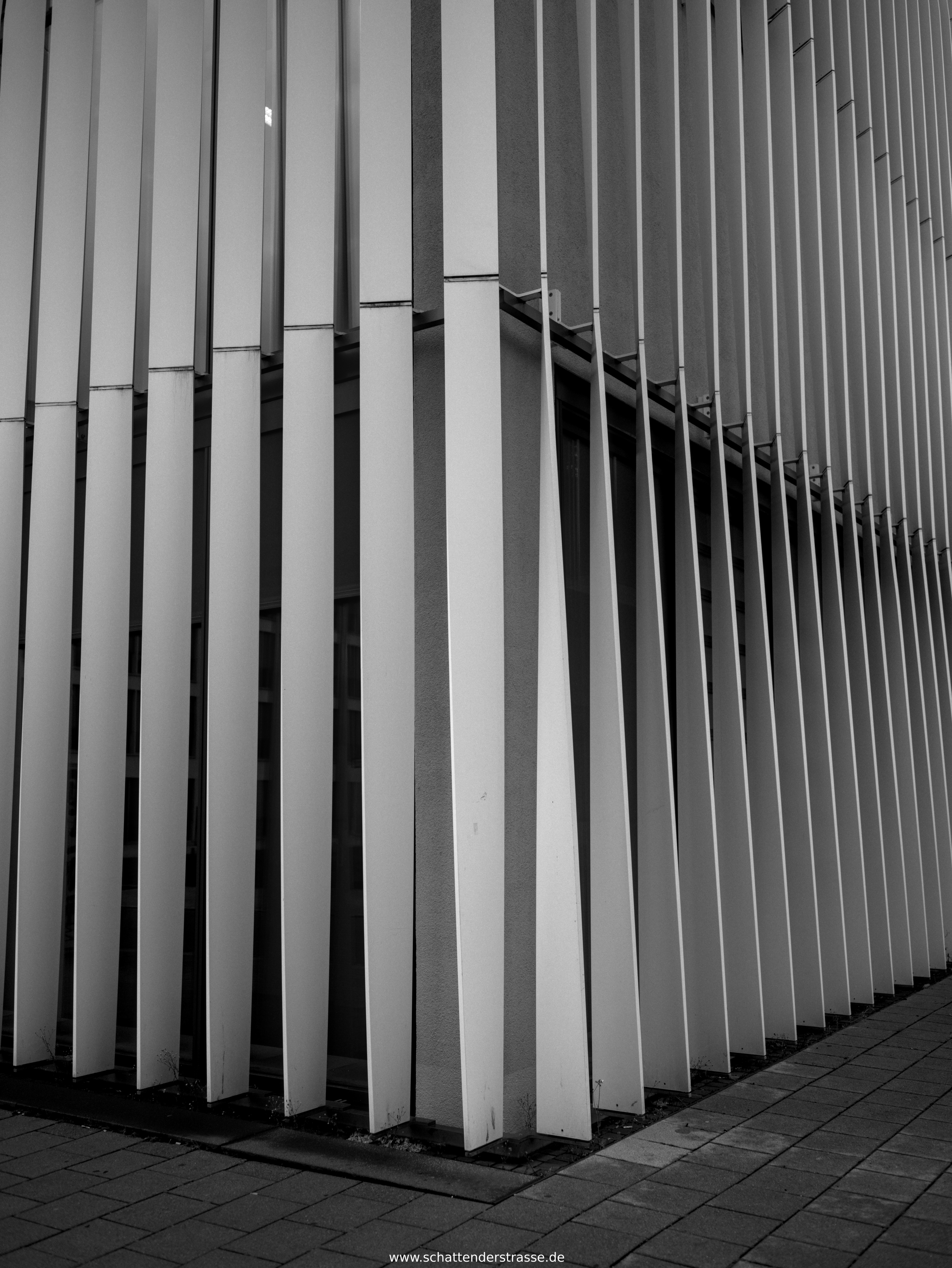 Linien